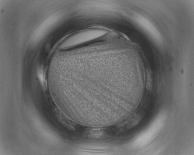 X0000084601198200703091921