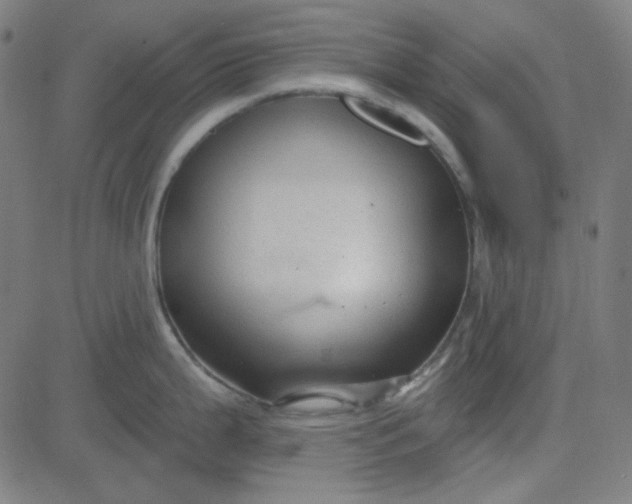 X0000084601199200703091921