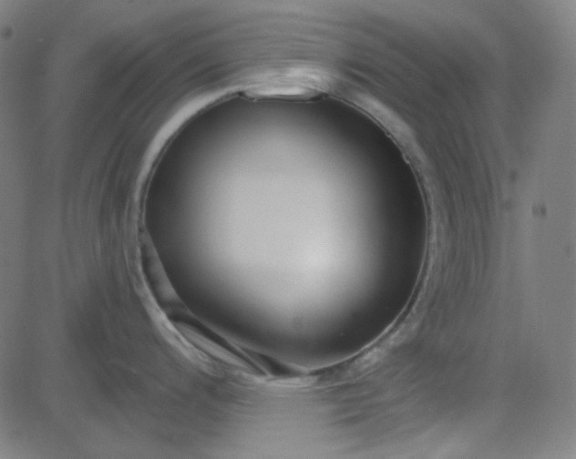 X0000084601200200703091921