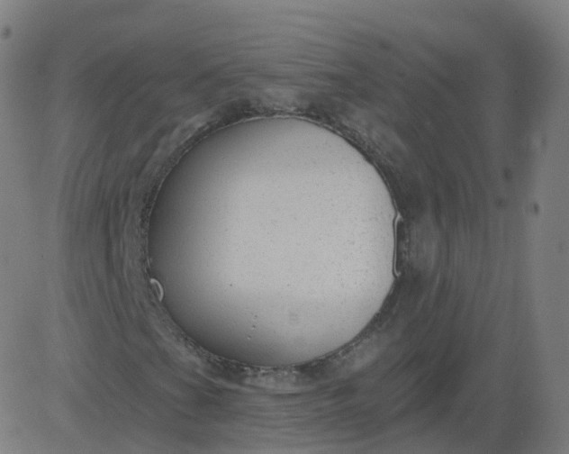 X0000084601201200703091920