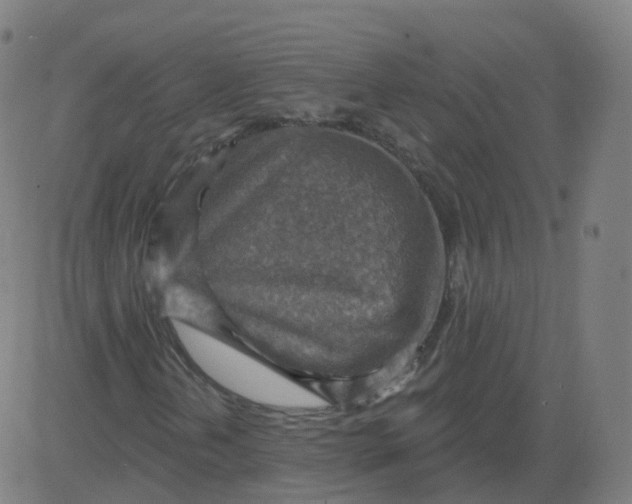 X0000084601202200703091920