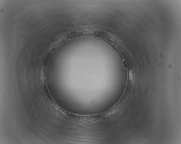 X0000084601203200703091920