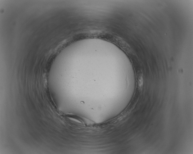 X0000084601204200703091920