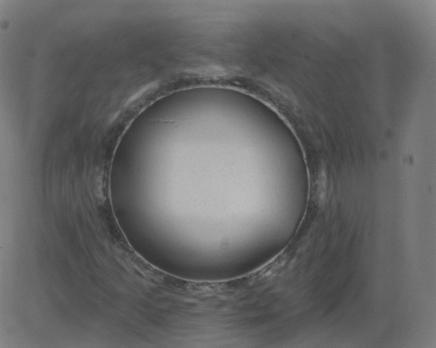 X0000084601205200703091920