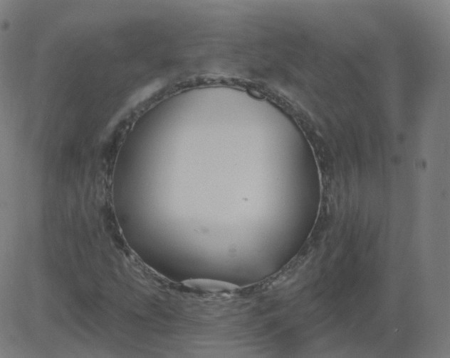 X0000084601207200703091920