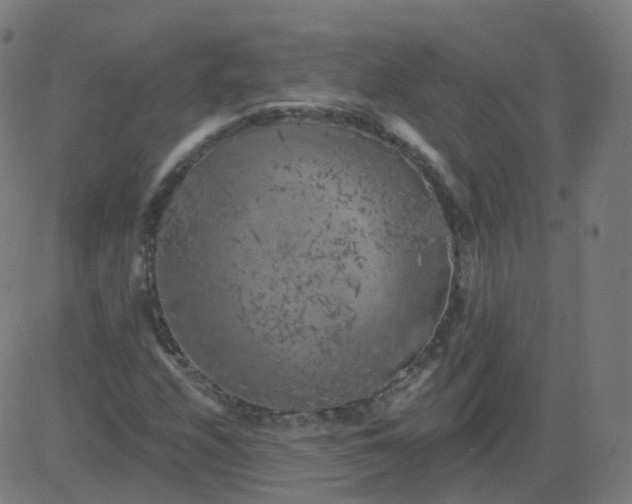 X0000084601208200703091920