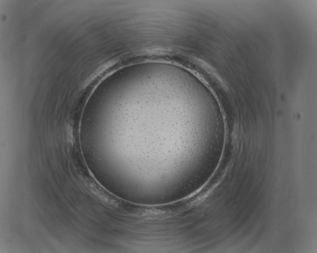 X0000084601209200703091920