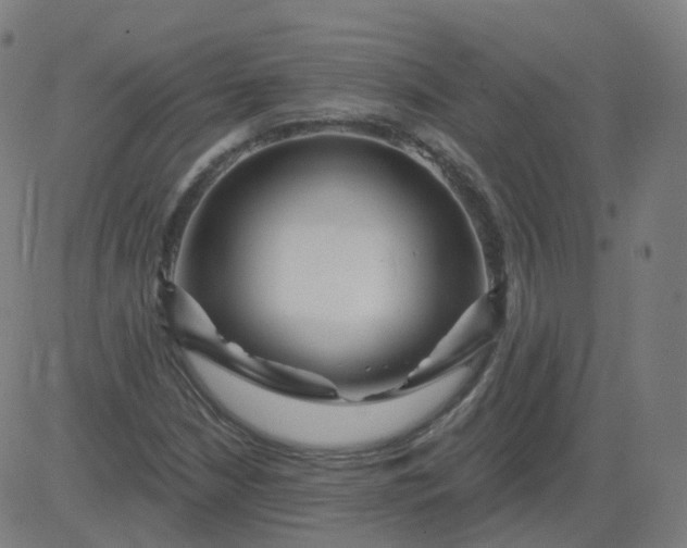 X0000084601210200703091920