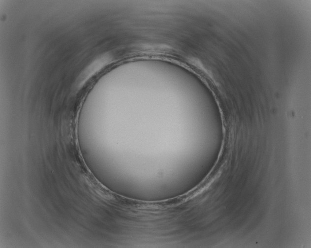 X0000084601211200703091920