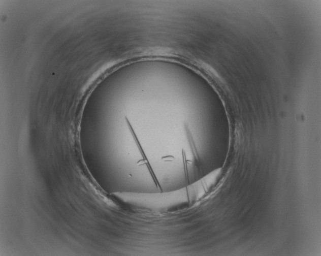 X0000084601212200703091920