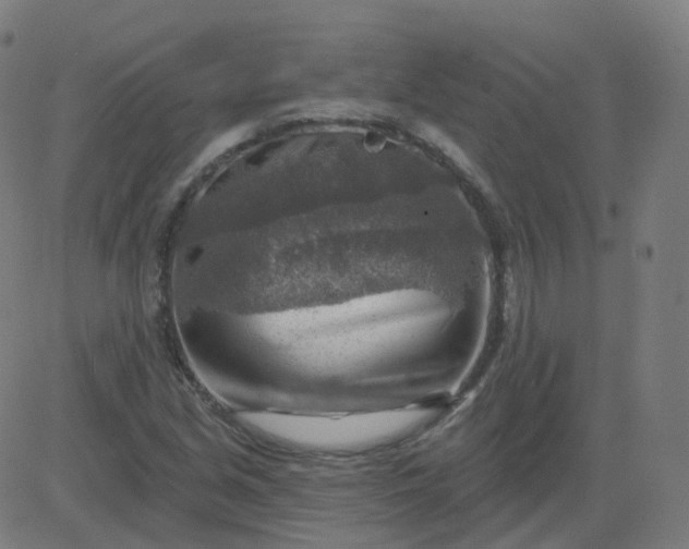 X0000084601213200703091920