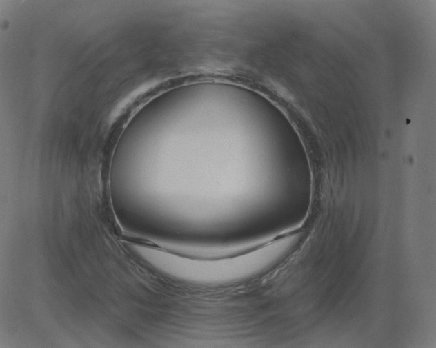 X0000084601214200703091920