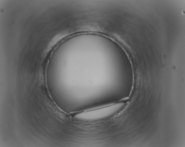 X0000084601215200703091920