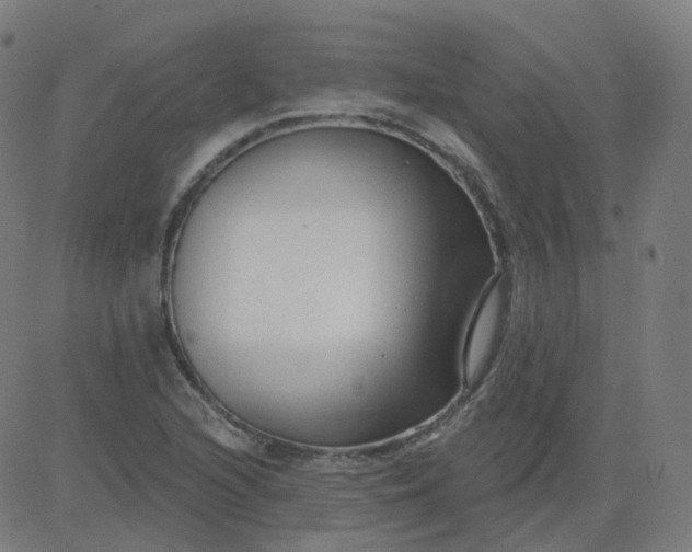 X0000084601216200703091920