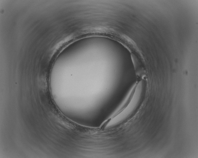 X0000084601218200703091920