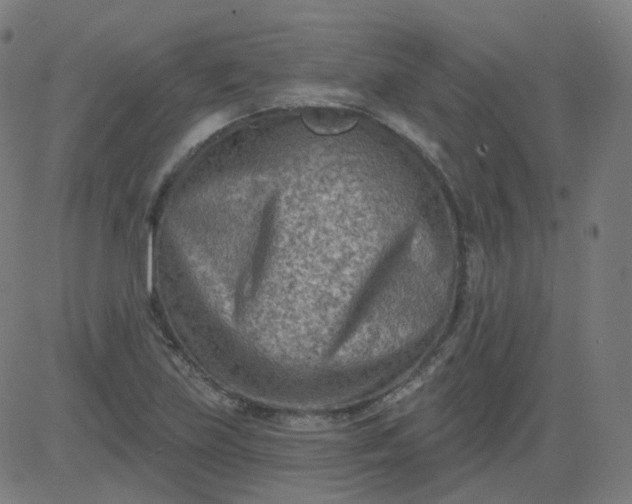 X0000084601219200703091920