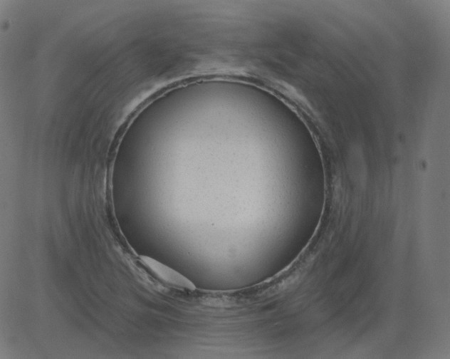 X0000084601220200703091920