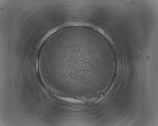 X0000084601221200703091920