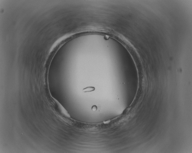 X0000084601222200703091920