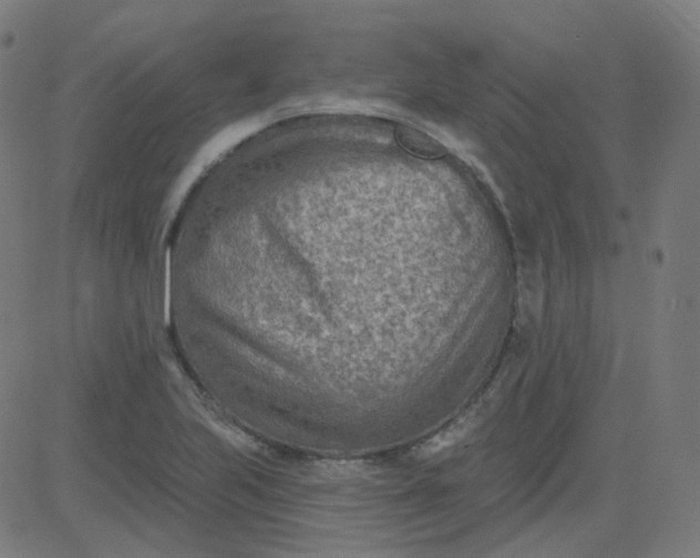 X0000084601223200703091920