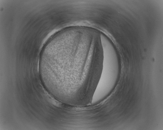 X0000084601224200703091920