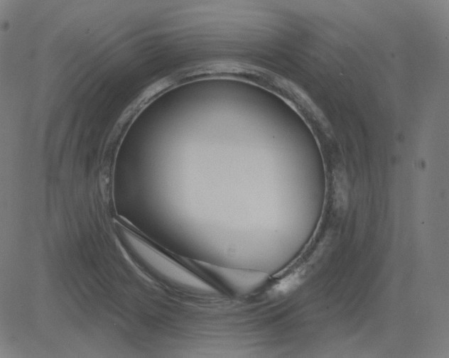 X0000084601225200703091920