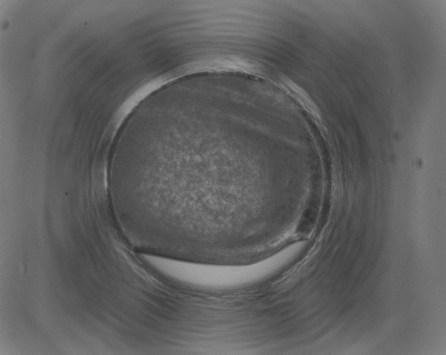 X0000084601226200703091920