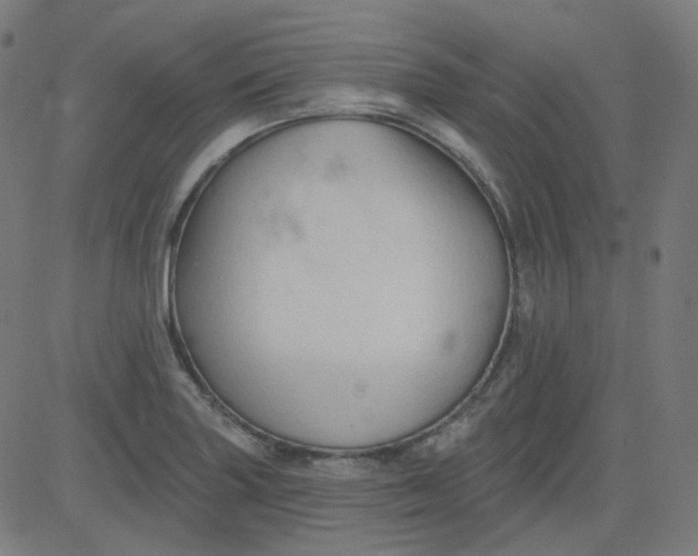 X0000084601227200703091920