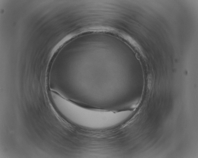 X0000084601229200703091920