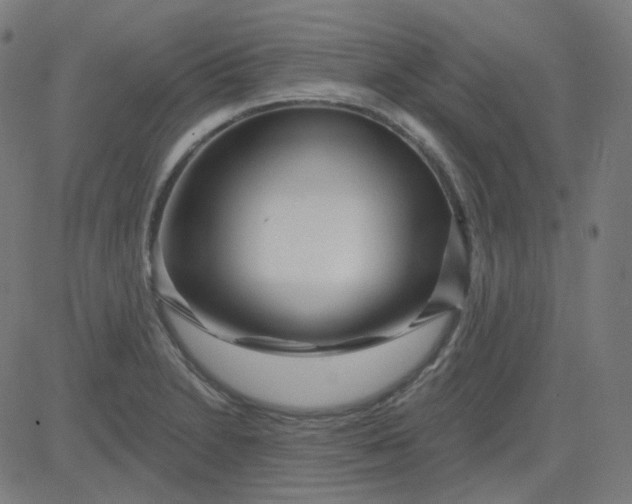 X0000084601230200703091920