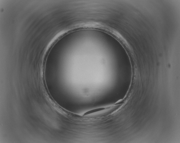 X0000084601232200703091920