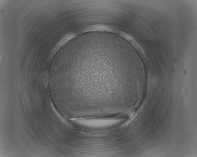 X0000084601233200703091920