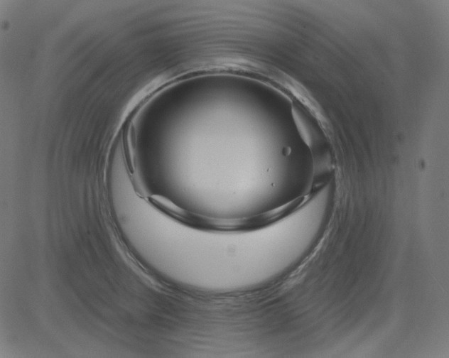 X0000084601234200703091920