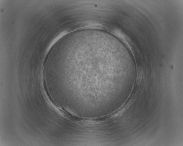 X0000084601235200703091920