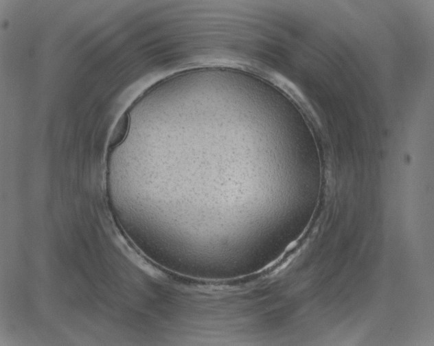 X0000084601236200703091920