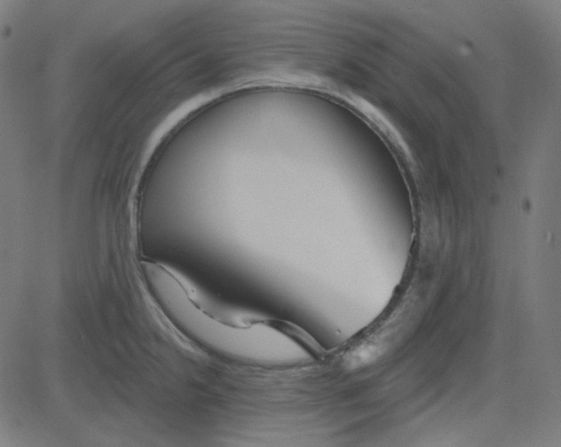 X0000084601238200703091920