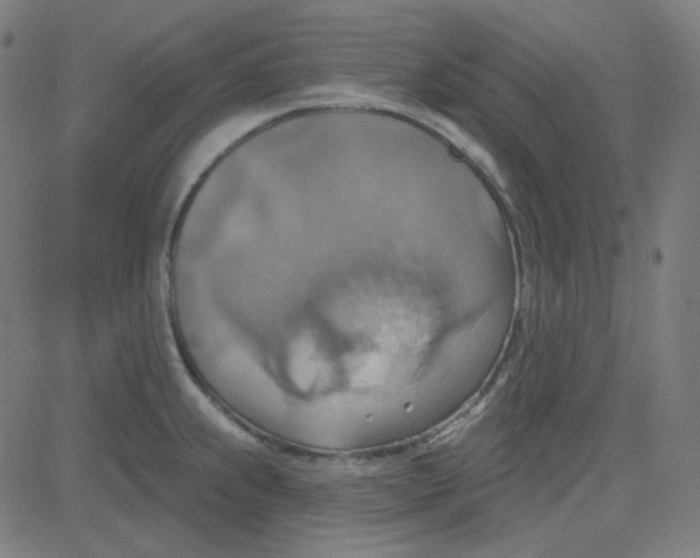 X0000084601239200703091920