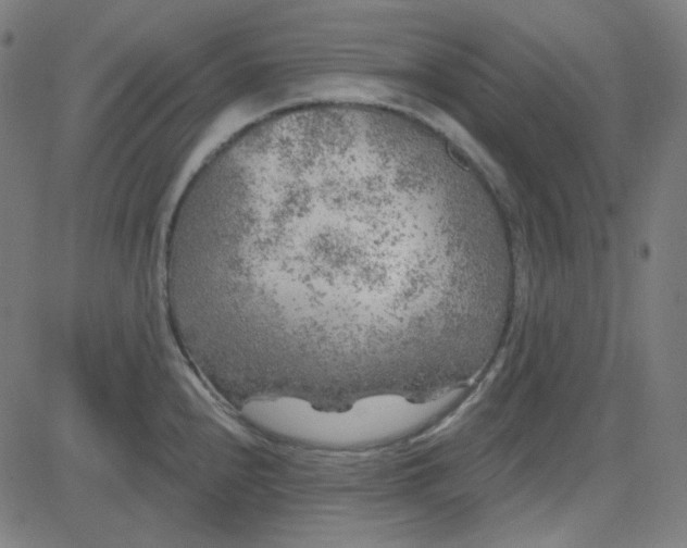 X0000084601240200703091920