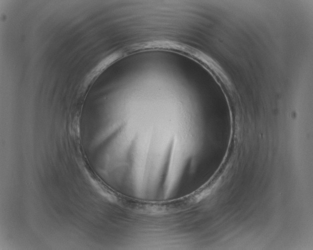 X0000084601241200703091920