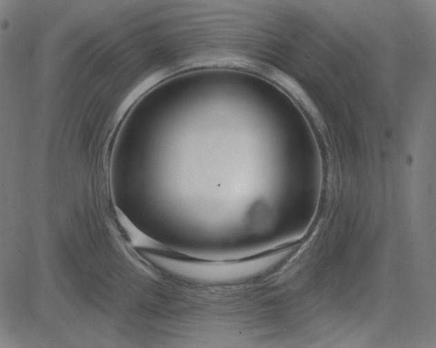 X0000084601242200703091920