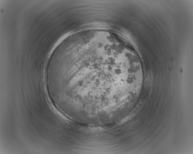 X0000084601243200703091920