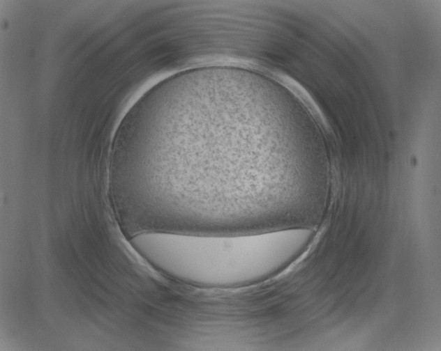 X0000084601244200703091920