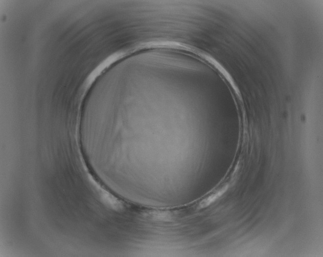 X0000084601245200703091920