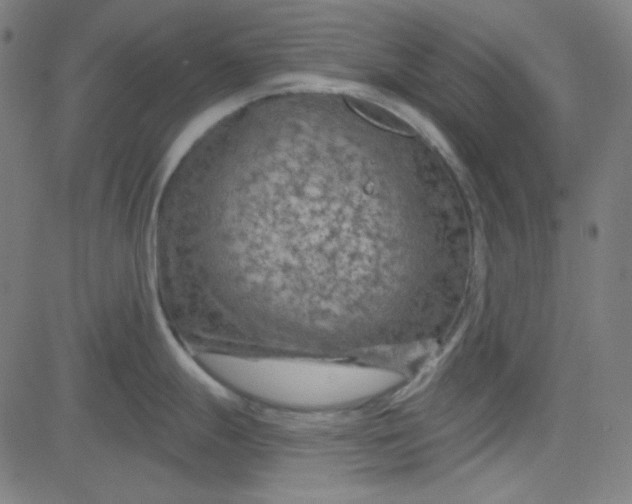 X0000084601247200703091920