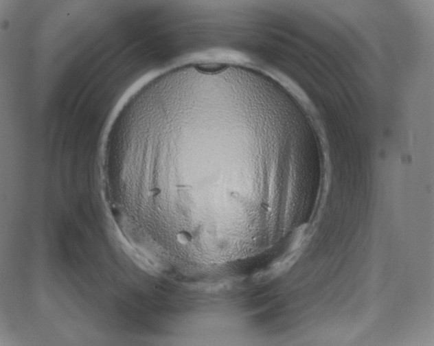 X0000084601248200703091921