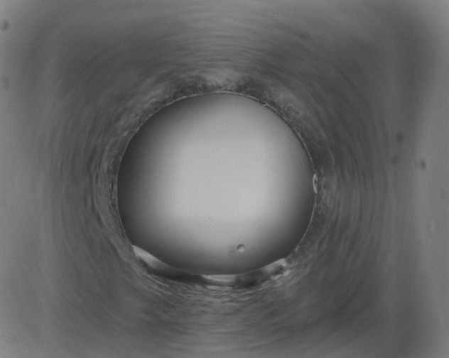 X0000084601249200703091920