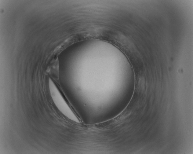 X0000084601250200703091920