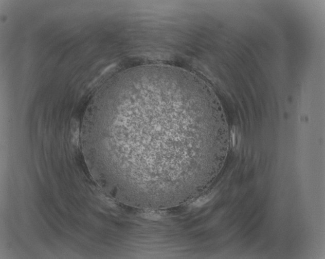 X0000084601251200703091920