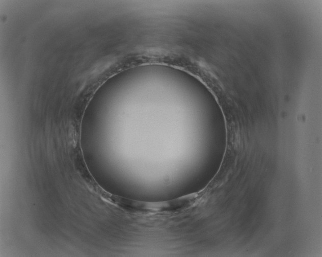 X0000084601253200703091920