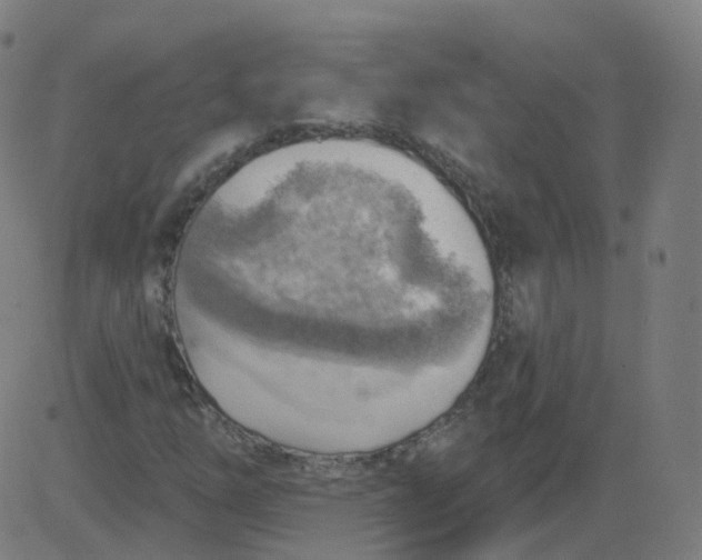 X0000084601254200703091920